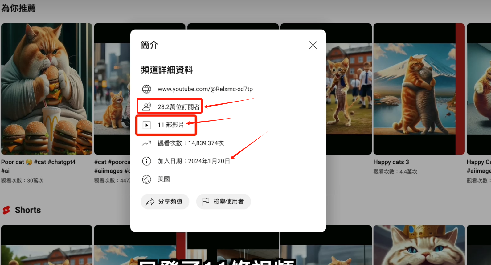 20250313135024-67d2e2a0137ac.png AI貓咪剧情号,30天涨粉100w,制作简单,一个视频全网分发,轻松月入1W+