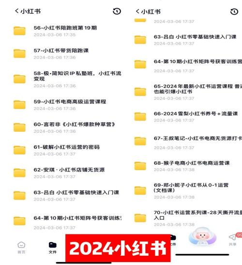 20250314103419-67d4062b426d3.png 0基础知识付费玩法 小白也能日入500+ 实操教程
