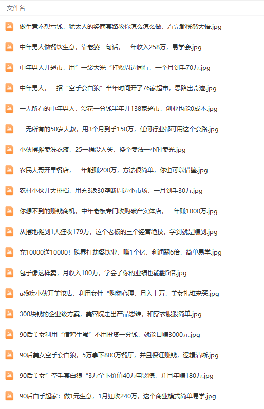 20250314105637-67d40b6516e41.png 真实有效391套商业模式,年入几十到几百万案例解析(电子书+视频+图文)