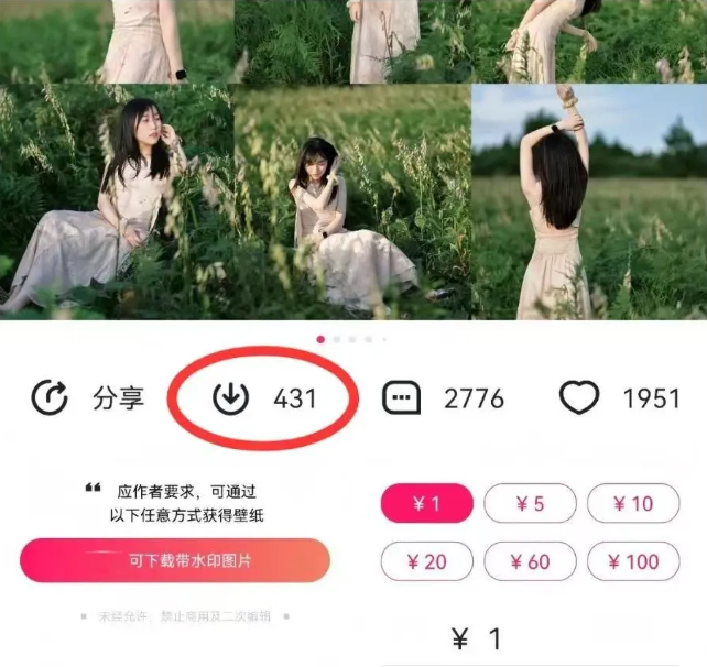 20250325133152-67e2b048d7849.png 最新图虫搬运项目,收益无上限,利用AI小白也可日赚500+