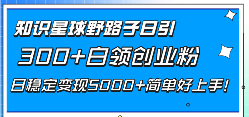 知识星球野路子日引300+白领创业粉,日稳定变现5000+简单好上手!睿集资源栈-网赚项目-副业赚钱-互联网创业-资源整合睿集资源栈