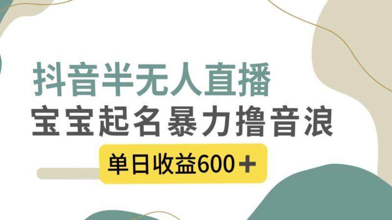 抖音半无人直播,宝宝起名,暴力撸音浪,单日收益600+睿集资源栈-网赚项目-副业赚钱-互联网创业-资源整合睿集资源栈
