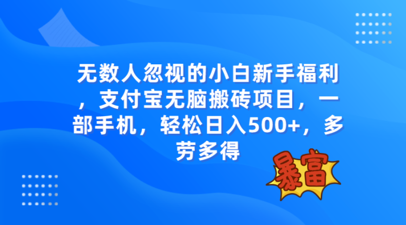 无数人忽视的项目,支付宝无脑搬砖项目,一部手机即可操作,轻松日入500+睿集资源栈-网赚项目-副业赚钱-互联网创业-资源整合睿集资源栈