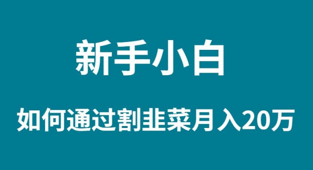 新手小白如何通过割韭菜月入 20W睿集资源栈-网赚项目-副业赚钱-互联网创业-资源整合睿集资源栈