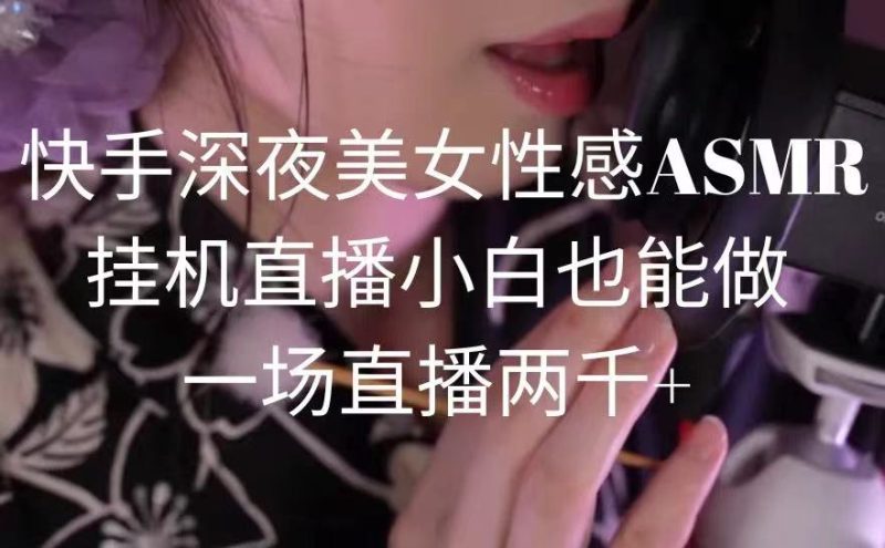 快手深夜美女性感ASMR挂机直播,小白也能做,一场直播两千+睿集资源栈-网赚项目-副业赚钱-互联网创业-资源整合睿集资源栈