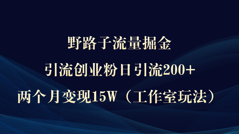 野路子流量掘金,引流创业粉日引流200+,两个月变现15W(工作室玩法))睿集资源栈-网赚项目-副业赚钱-互联网创业-资源整合睿集资源栈