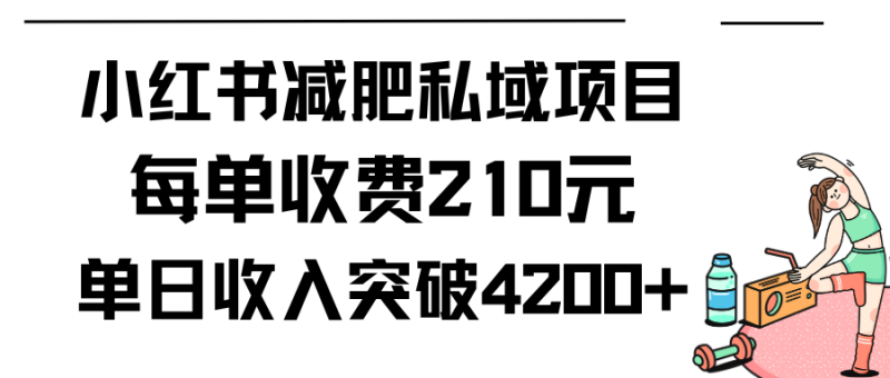 小红书减肥私域项目每单收费210元单日成交20单,最高日入4200+睿集资源栈-网赚项目-副业赚钱-互联网创业-资源整合睿集资源栈