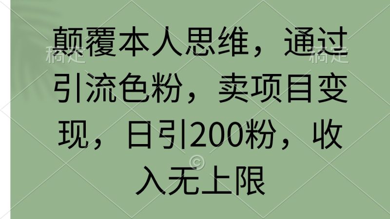 颠覆本人思维,通过引流色粉,卖项目变现,日引200粉,收入无上限睿集资源栈-网赚项目-副业赚钱-互联网创业-资源整合睿集资源栈