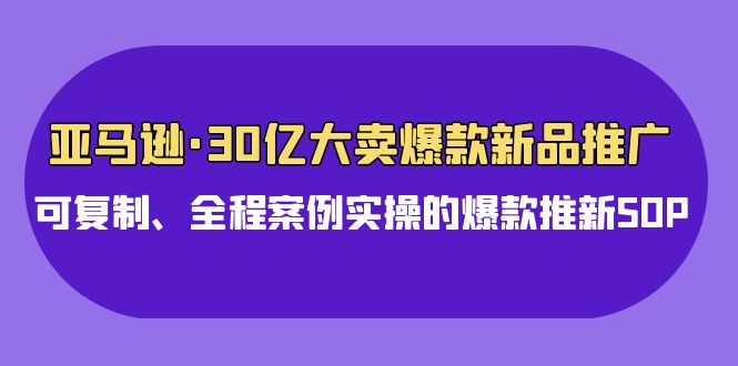 亚马逊30亿·大卖爆款新品推广，可复制、全程案例实操的爆款推新SOP睿集资源栈-网赚项目-副业赚钱-互联网创业-资源整合睿集资源栈