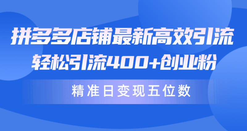 拼多多店铺最新高效引流术,轻松引流400+创业粉,精准日变现五位数!睿集资源栈-网赚项目-副业赚钱-互联网创业-资源整合睿集资源栈