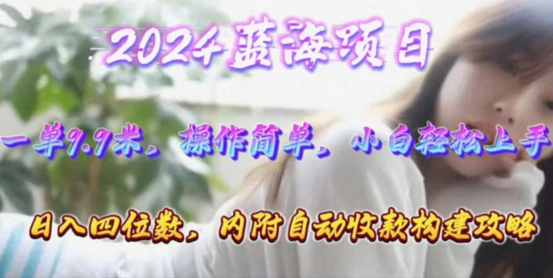 年轻群体的蓝海市场,1单9.9元,操作简单,小白轻松上手,日入四位数睿集资源栈-网赚项目-副业赚钱-互联网创业-资源整合睿集资源栈