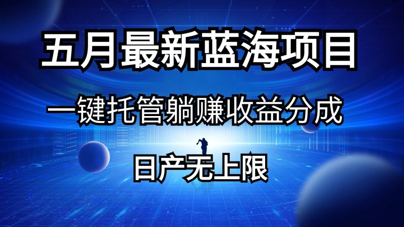 五月刚出最新蓝海项目一键托管 躺赚收益分成 日产无上限睿集资源栈-网赚项目-副业赚钱-互联网创业-资源整合睿集资源栈
