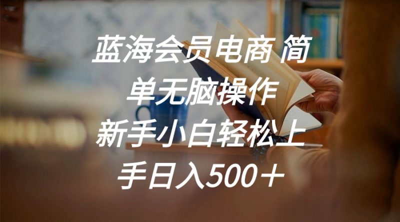 蓝海会员电商 简单无脑操作 新手小白轻松上手日入500+睿集资源栈-网赚项目-副业赚钱-互联网创业-资源整合睿集资源栈