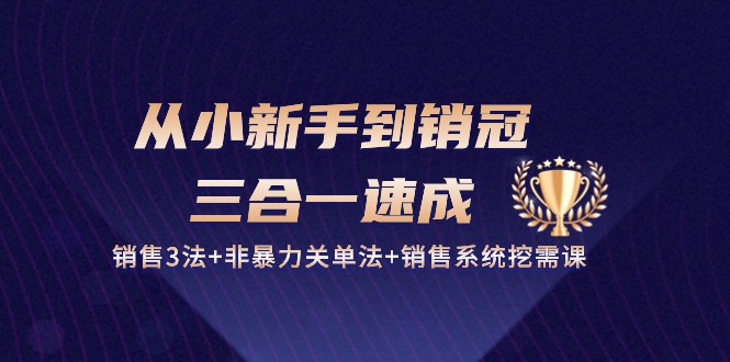 从小新手到销冠 三合一速成：销售3法+非暴力关单法+销售系统挖需课 (27节)睿集资源栈-网赚项目-副业赚钱-互联网创业-资源整合睿集资源栈