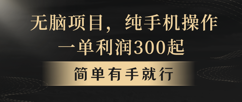 无脑项目,一单几百块,轻松月入5w+,看完就能直接操作睿集资源栈-网赚项目-副业赚钱-互联网创业-资源整合睿集资源栈