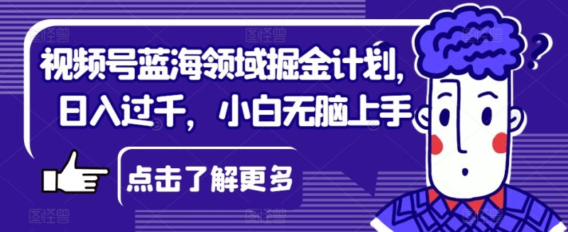 视频号蓝海领域掘金计划,日入过千,小白无脑上手【揭秘】睿集资源栈-网赚项目-副业赚钱-互联网创业-资源整合睿集资源栈