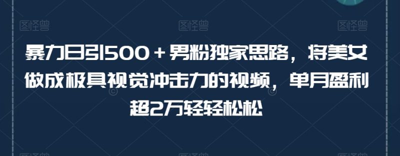 暴力日引500+男粉独家思路,将美女做成极具视觉冲击力的视频,单月盈利超2万轻轻松松睿集资源栈-网赚项目-副业赚钱-互联网创业-资源整合睿集资源栈