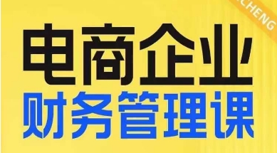 电商企业财务管理线上课，为电商企业规划财税睿集资源栈-网赚项目-副业赚钱-互联网创业-资源整合睿集资源栈