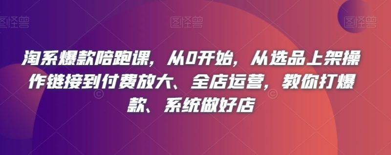 淘系爆款陪跑课,从0开始,从选品上架操作链接到付费放大、全店运营,教你打爆款、系统做好店睿集资源栈-网赚项目-副业赚钱-互联网创业-资源整合睿集资源栈