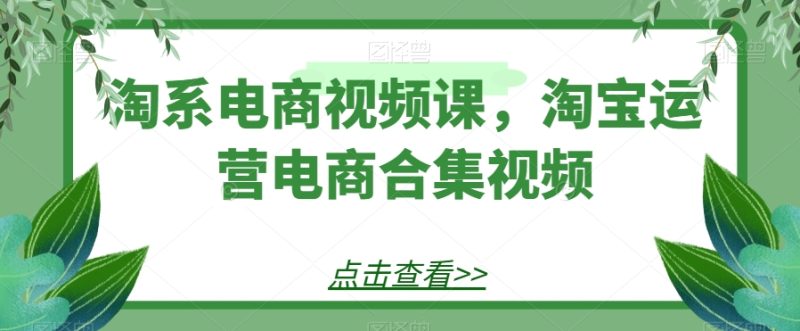 淘系电商视频课,淘宝运营电商合集视频睿集资源栈-网赚项目-副业赚钱-互联网创业-资源整合睿集资源栈