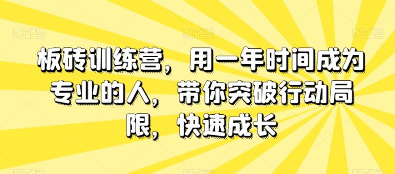 板砖训练营,用一年时间成为专业的人,带你突破行动局限,快速成长睿集资源栈-网赚项目-副业赚钱-互联网创业-资源整合睿集资源栈