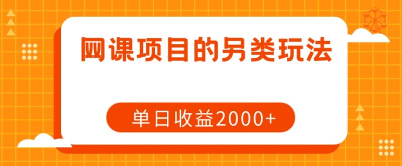 网课项目的另类玩法,单日收益2000+【揭秘】睿集资源栈-网赚项目-副业赚钱-互联网创业-资源整合睿集资源栈
