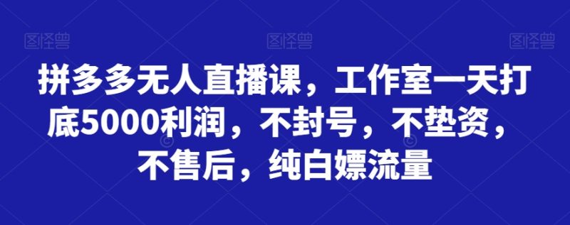 拼多多无人直播课,工作室一天打底5000利润,不封号,不垫资,不售后,纯白嫖流量睿集资源栈-网赚项目-副业赚钱-互联网创业-资源整合睿集资源栈