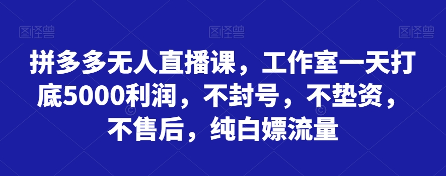 拼多多无人直播课，工作室一天打底5000利润，不封号，不垫资，不售后，纯白嫖流量睿集资源栈-网赚项目-副业赚钱-互联网创业-资源整合睿集资源栈