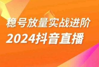 稳号放量实战进阶—2024抖音直播，直播间精细化运营的几大步骤睿集资源栈-网赚项目-副业赚钱-互联网创业-资源整合睿集资源栈