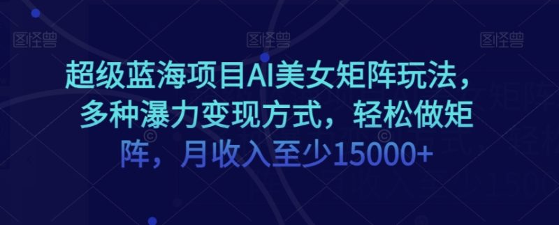 超级蓝海项目AI美女矩阵玩法,多种瀑力变现方式,轻松做矩阵,月收入至少15000+【揭秘】睿集资源栈-网赚项目-副业赚钱-互联网创业-资源整合睿集资源栈