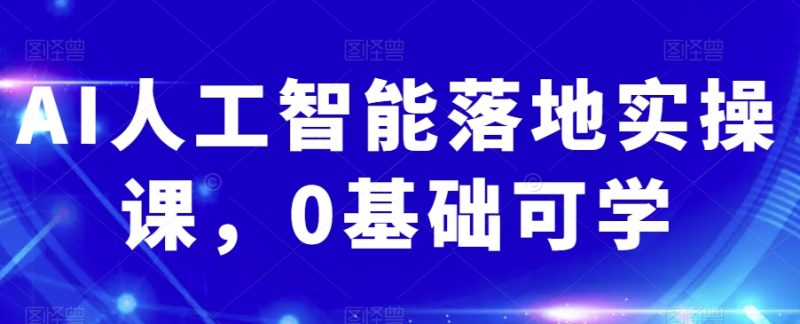 AI人工智能落地实操课,0基础可学睿集资源栈-网赚项目-副业赚钱-互联网创业-资源整合睿集资源栈