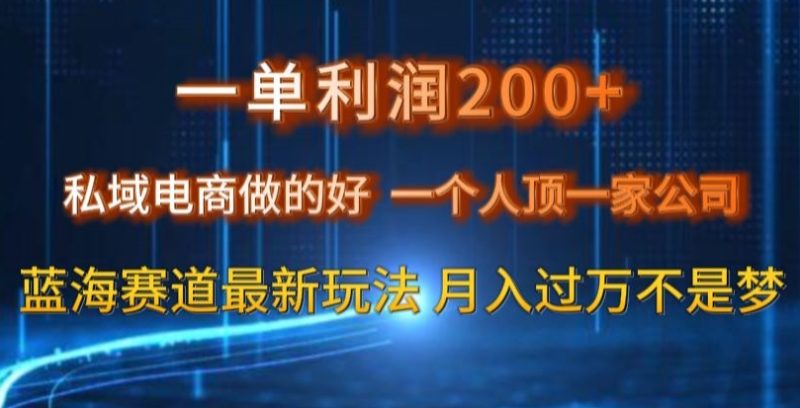 一单利润200私域电商做的好,一个人顶一家公司蓝海赛道最新玩法【揭秘】睿集资源栈-网赚项目-副业赚钱-互联网创业-资源整合睿集资源栈