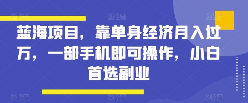 蓝海项目,靠单身经济月入过万,一部手机即可操作,小白首选副业【揭秘】睿集资源栈-网赚项目-副业赚钱-互联网创业-资源整合睿集资源栈