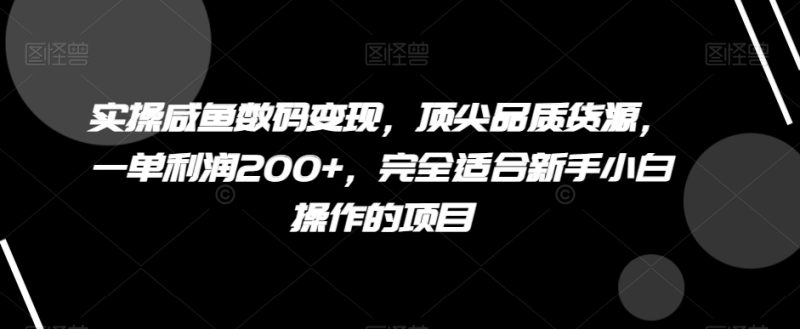 实操咸鱼数码变现，顶尖品质货源，一单利润200+，完全适合新手小白操作的项目【揭秘】睿集资源栈-网赚项目-副业赚钱-互联网创业-资源整合睿集资源栈