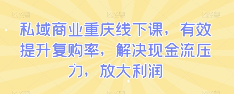 私域商业重庆线下课,有效提升复购率,解决现金流压力,放大利润睿集资源栈-网赚项目-副业赚钱-互联网创业-资源整合睿集资源栈