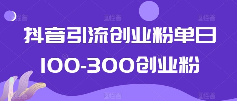 抖音引流创业粉单日100-300创业粉睿集资源栈-网赚项目-副业赚钱-互联网创业-资源整合睿集资源栈