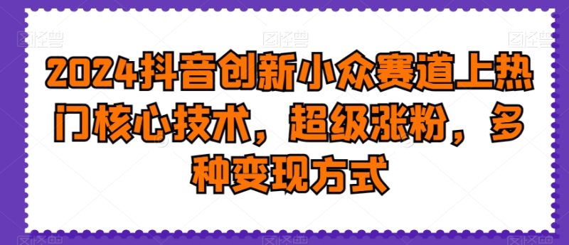2024抖音创新小众赛道上热门核心技术,超级涨粉,多种变现方式睿集资源栈-网赚项目-副业赚钱-互联网创业-资源整合睿集资源栈