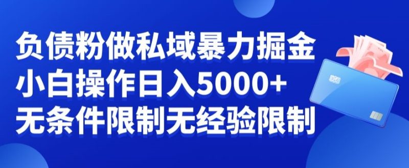 负债粉私域暴力掘金,小白操作入5000,无经验限制,无条件限制睿集资源栈-网赚项目-副业赚钱-互联网创业-资源整合睿集资源栈