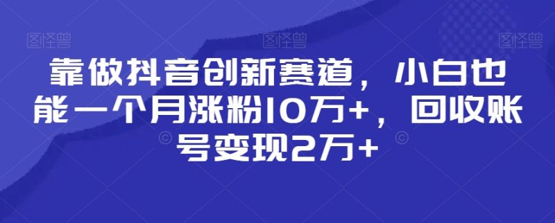 靠做抖音创新赛道,小白也能一个月涨粉10万+,回收账号变现2万+睿集资源栈-网赚项目-副业赚钱-互联网创业-资源整合睿集资源栈