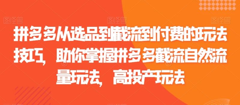 拼多多从选品到截流到付费的玩法技巧,助你掌握拼多多截流自然流量玩法,高投产玩法睿集资源栈-网赚项目-副业赚钱-互联网创业-资源整合睿集资源栈