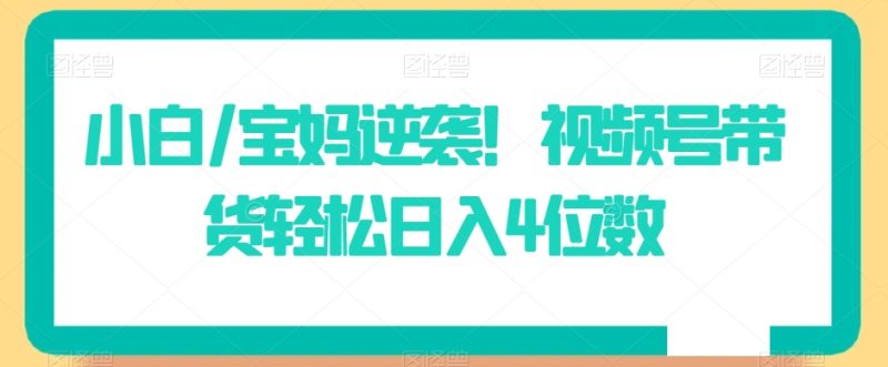 小白/宝妈逆袭!视频号带货轻松日入4位数睿集资源栈-网赚项目-副业赚钱-互联网创业-资源整合睿集资源栈