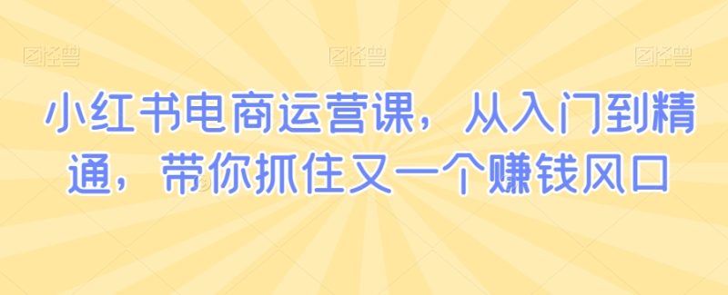 小红书电商运营课,从入门到精通,带你抓住又一个赚钱风口睿集资源栈-网赚项目-副业赚钱-互联网创业-资源整合睿集资源栈