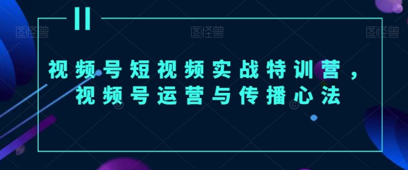 视频号短视频实战特训营,视频号运营与传播心法睿集资源栈-网赚项目-副业赚钱-互联网创业-资源整合睿集资源栈