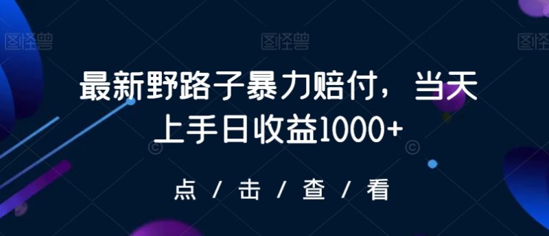 最新野路子暴力赔付,当天上手日收益1000+【仅揭秘】睿集资源栈-网赚项目-副业赚钱-互联网创业-资源整合睿集资源栈