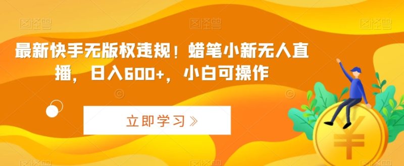 最新快手无版权违规!蜡笔小新无人直播,日入600+,小白可操作睿集资源栈-网赚项目-副业赚钱-互联网创业-资源整合睿集资源栈