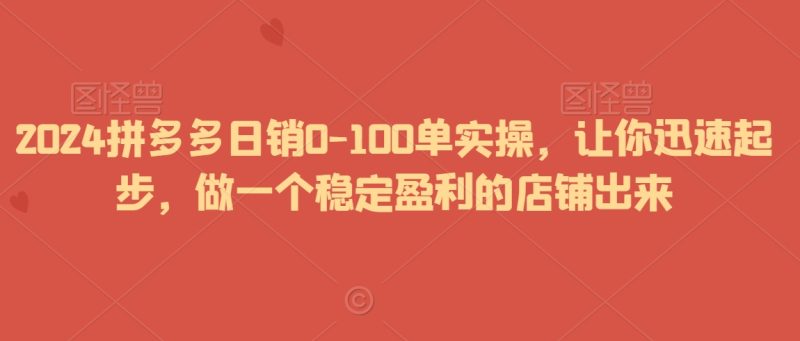 2024拼多多日销0-100单实操,让你迅速起步,做一个稳定盈利的店铺出来睿集资源栈-网赚项目-副业赚钱-互联网创业-资源整合睿集资源栈