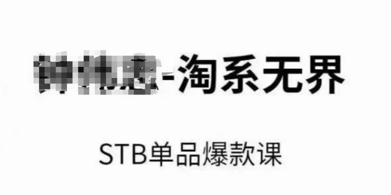 淘系无界STB单品爆款课(2024),付费带动免费的核心逻辑,万相台无界关键词推广/精准人群的核心睿集资源栈-网赚项目-副业赚钱-互联网创业-资源整合睿集资源栈