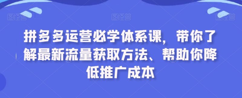 拼多多运营必学体系课,带你了解最新流量获取方法、帮助你降低推广成本睿集资源栈-网赚项目-副业赚钱-互联网创业-资源整合睿集资源栈