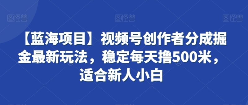 【蓝海项目】视频号创作者分成掘金最新玩法,稳定每天撸500米,适合新人小白睿集资源栈-网赚项目-副业赚钱-互联网创业-资源整合睿集资源栈