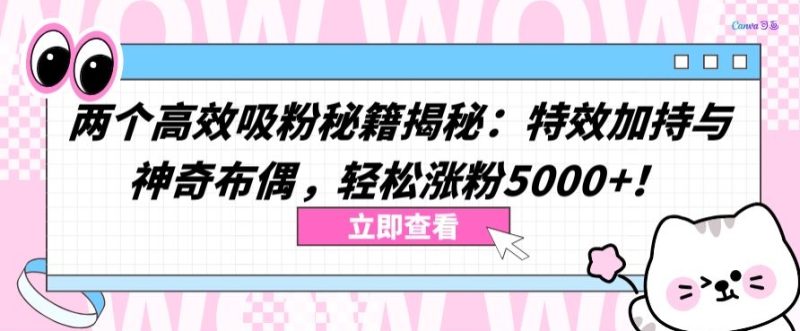 两个高效吸粉秘籍揭秘:特效加持与神奇布偶,轻松涨粉5000+睿集资源栈-网赚项目-副业赚钱-互联网创业-资源整合睿集资源栈